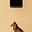 Cave Days's avatar