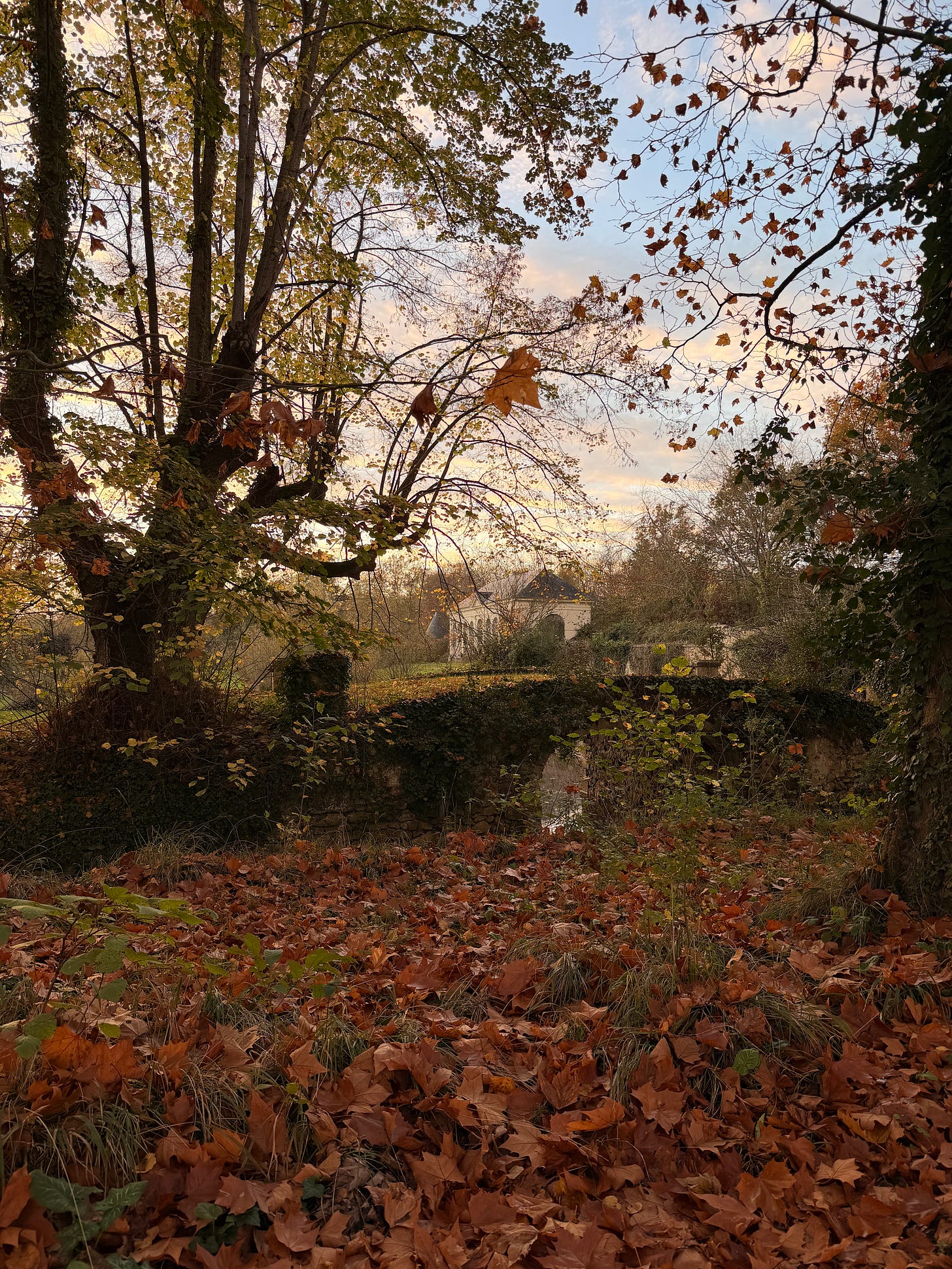 A small ivy-covered stone footbridge over water, surrounded by a thick layer of fallen orange leaves, with an autumn tree in the foreground and a pale stone pavilion with a slate roof under a soft sunset sky.