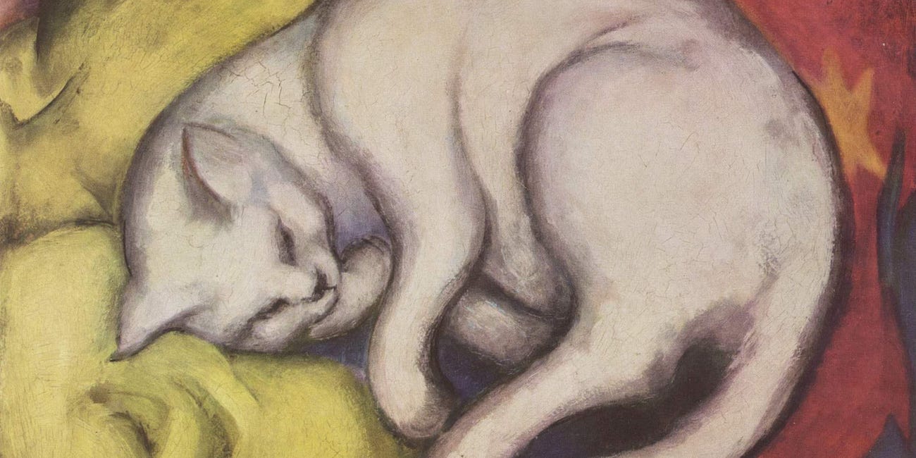 The Prodigal Cat