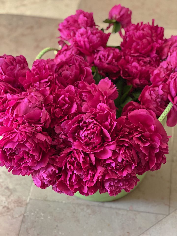 peonies and roses