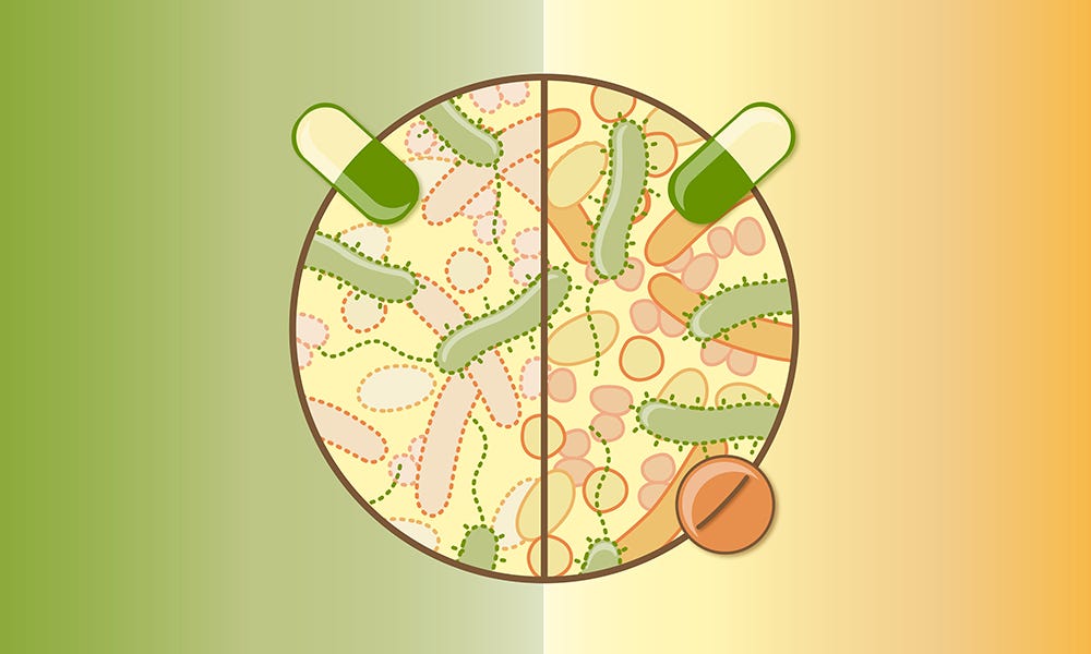 Tackling the collateral damage from antibiotics | EMBL