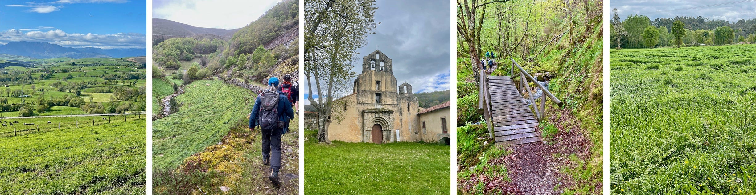 Walking El Camino Is the Way - by Sarah Lavender Smith