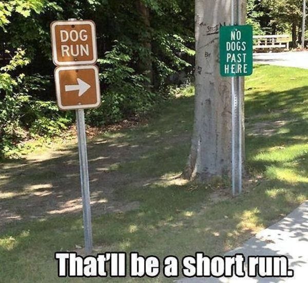 who's up for a short one? - Credit: reddit/u/deniss_1996