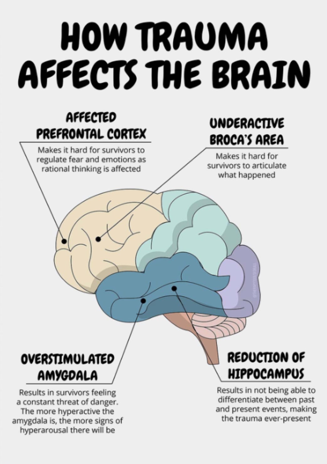 Irregular Thought Process Examples 5 Steps to Rewire Your Old Thought Patterns: Simple Daily Shifts That ...