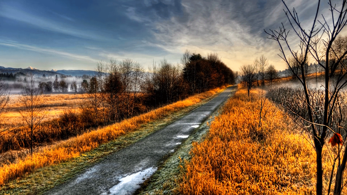 Path - GIF on Imgur