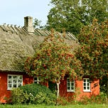 The Soul Shed