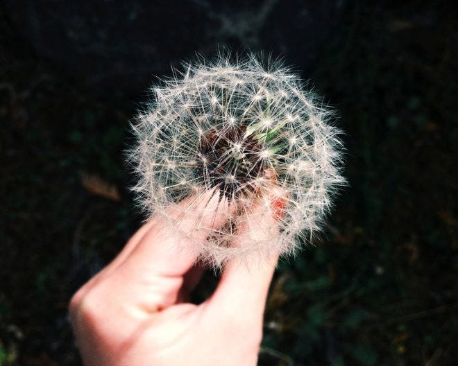 Why do Ideas Spread? 5 Factors that Make a Difference Why do Ideas Spread? 5 Factors that Make a Difference