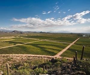 The vast landscape of Cafayate. (©Wines of Argentina)