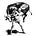 Ian Ostro's avatar