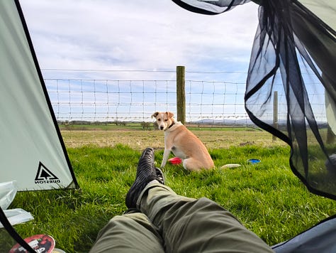 Photo 1 is of the Cumbrian hills, the second is of my tent in the field and the third is the view from inside my tent looking at my dog.