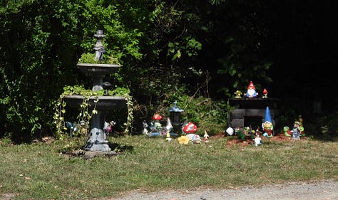 Gnometon pool party