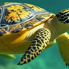 🚀 The Best of The Compounding Tortoise 