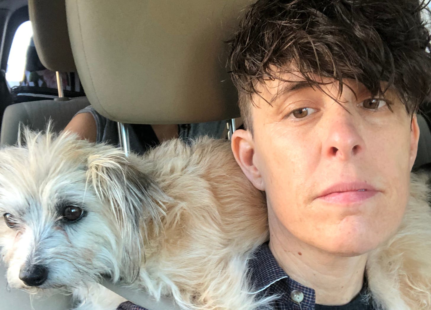A close-up of Andrea Gibson with tousled dark hair and a neutral expression, leaning against a car seat with a small, fluffy dog, Squash Gibson, resting comfortably across their shoulders.