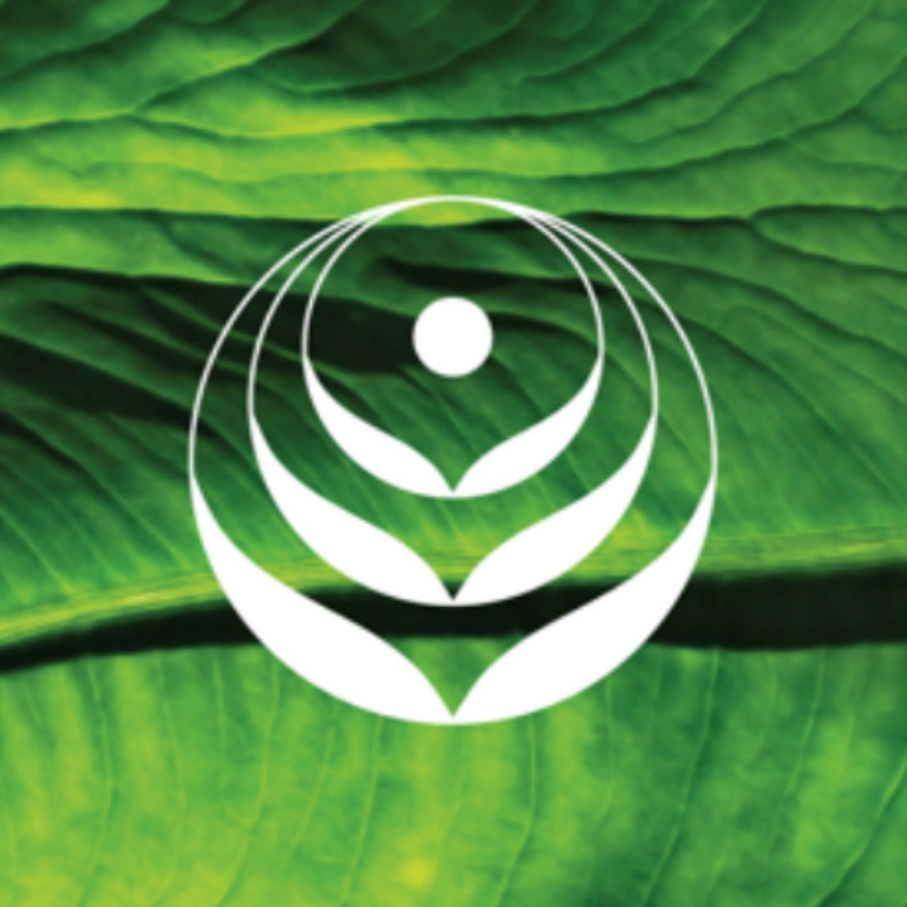 Marianne Naturally logo
