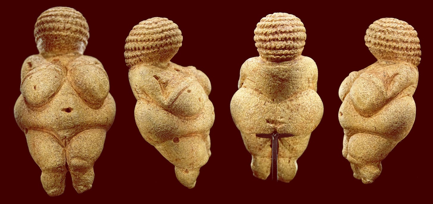 Upper Paleolithic Figurines Showing Women with Obesity May Be Linked to  Climate Change | Sci.News