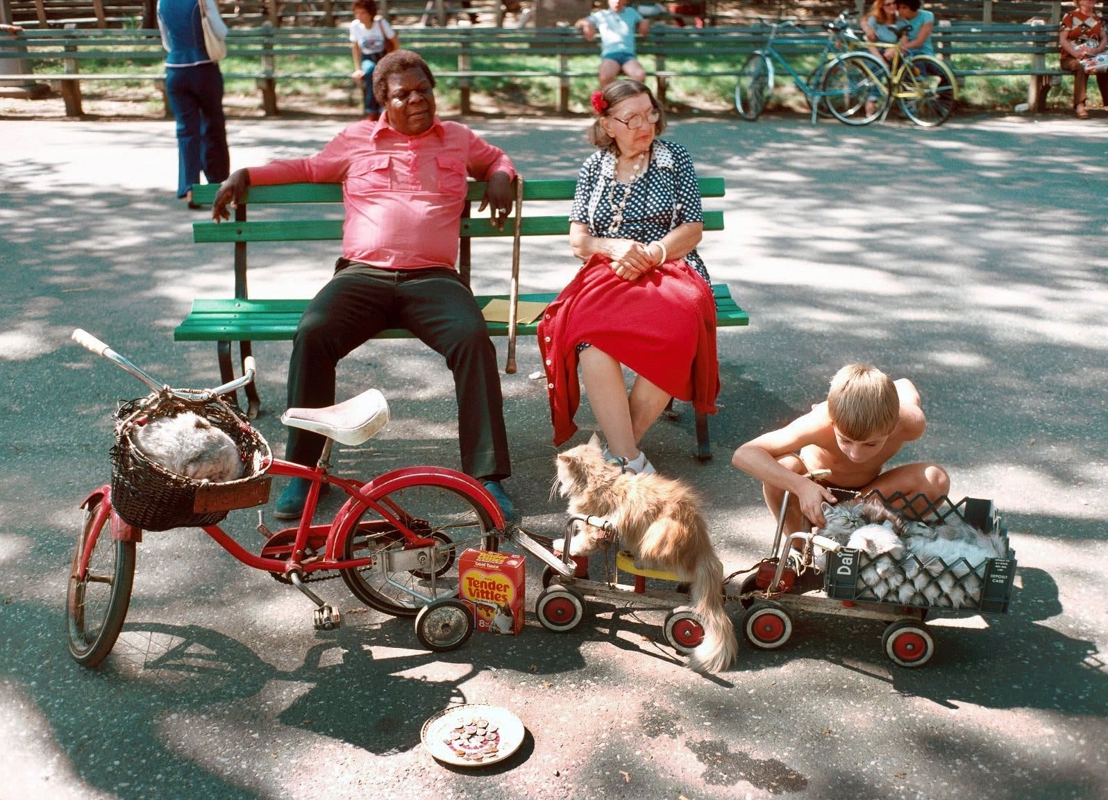 An older Black man and an older white woman sit on a green park bench in a sunny park while a shirtless white child crouches nearby beside two small wagons filled with fluffy cats. A red tricycle with a basket carrying another cat is parked in front of them, and a shallow bowl with coins rests on the pavement nearby. People and bicycles can be seen in the background.