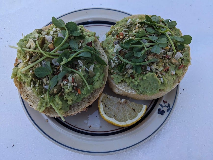 avocado bagel in the snow