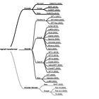 Understanding Encoder And Decoder LLMs