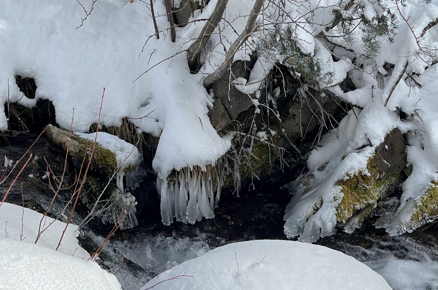 A stream flows between two snowy banks, and ice forms on roots and twigs hanging over the water.