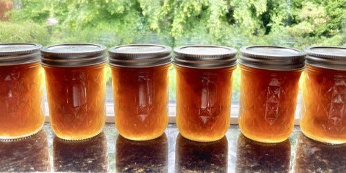Rhubarb and Orange Jam Recipe: Tangy, Sweet, Delicious - Fluxing Well