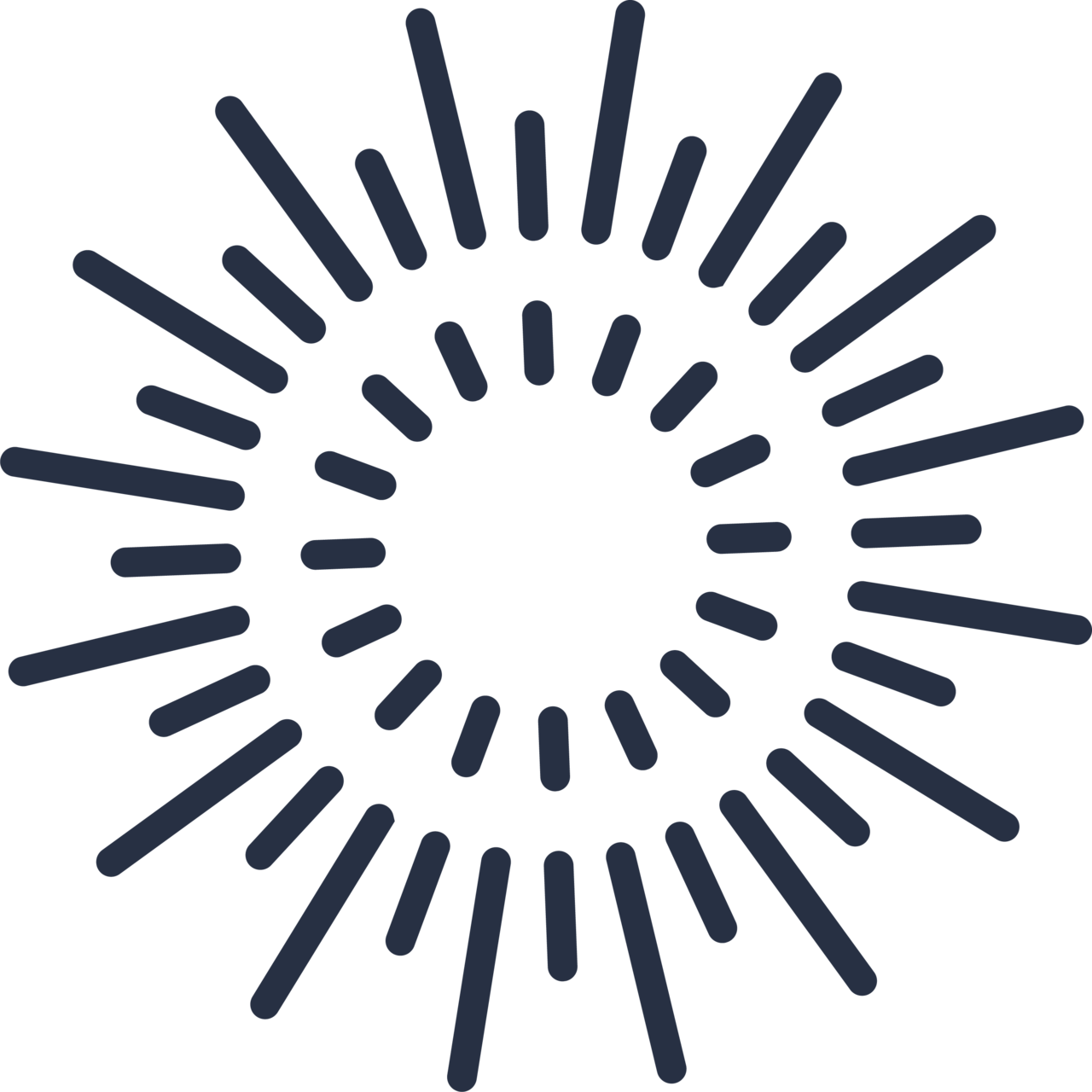 The Spark: A Changemaker Collective