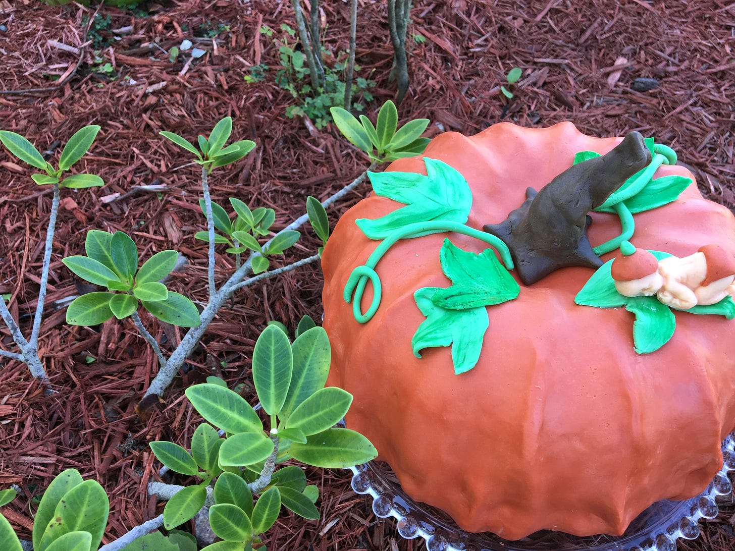  Oh look, a little pumpkin patch! 