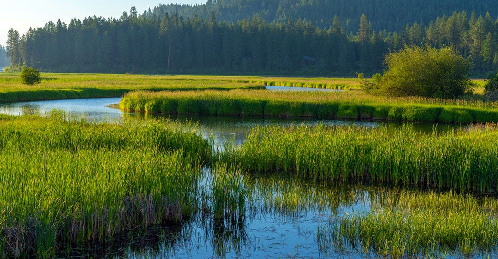 supreme court wetlands plummers
