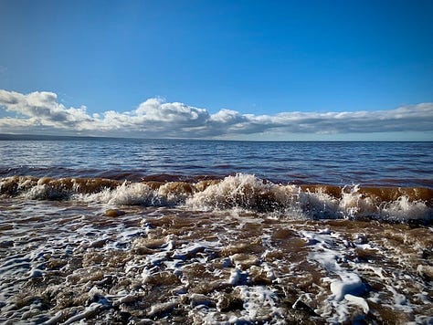 three photos in a row - a tarot card reading, bananas on toast, and frothy waves on the shore