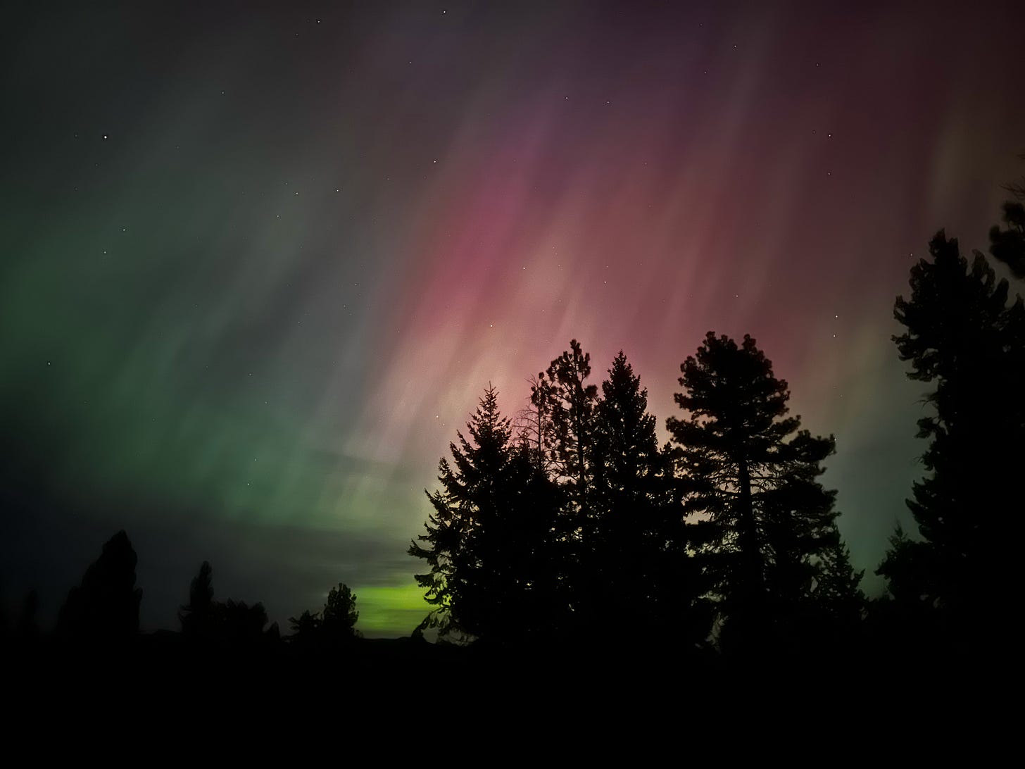 Auroras over the homestead