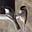 Jay Vandermer's avatar