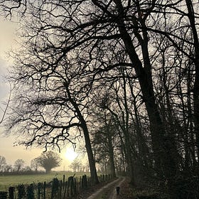 Statistically viable