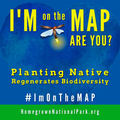 Our yard is part of Homegrown National Park