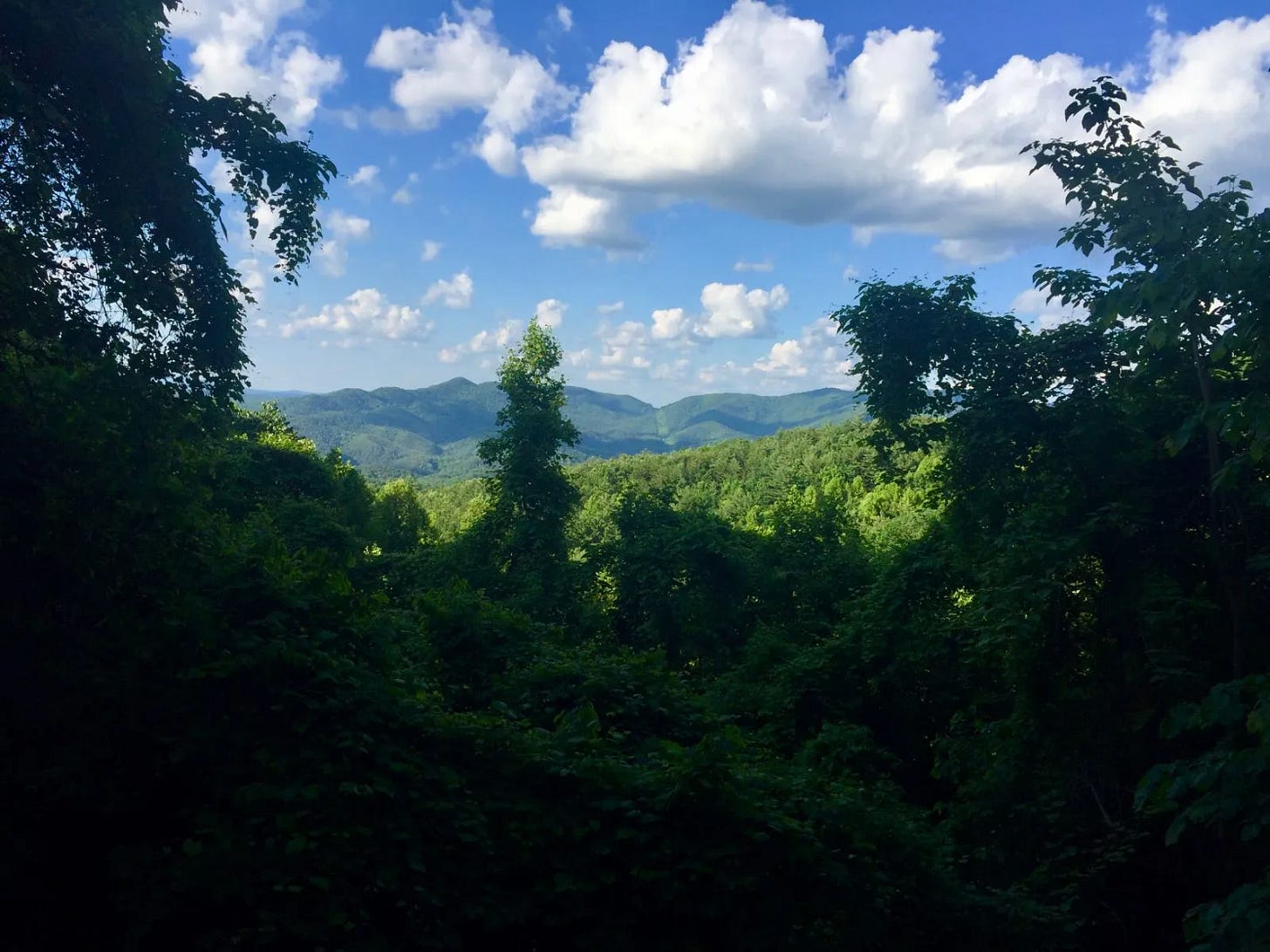 En forêt