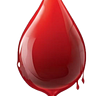 Red Blood Journal