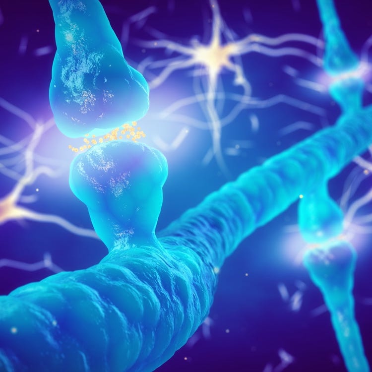 Quiet Mind & Brain Healing