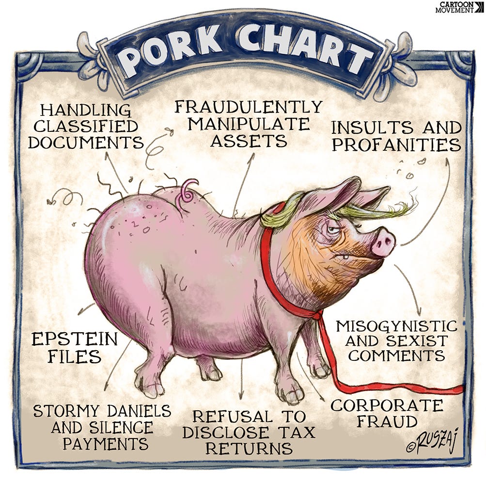 Cartoon showing a pig with the head of Donald Trump with the caption 'Pork chart' above it. Various pieces of the pig are labeled 'corporate fraud', 'refusal to disclose tax returns', 'Stormy Daniels and silence payments', 'Epstein files', 'Handling classified documents;, 'fraudulently manipulate assets', 'insults and profanities' and 'misogynistic and sexist comments'.