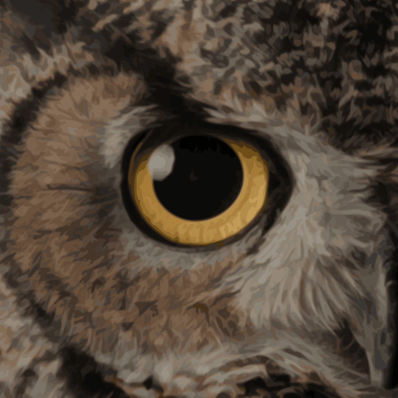 The Hidden Observer Substack