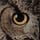 The Hidden Observer Substack