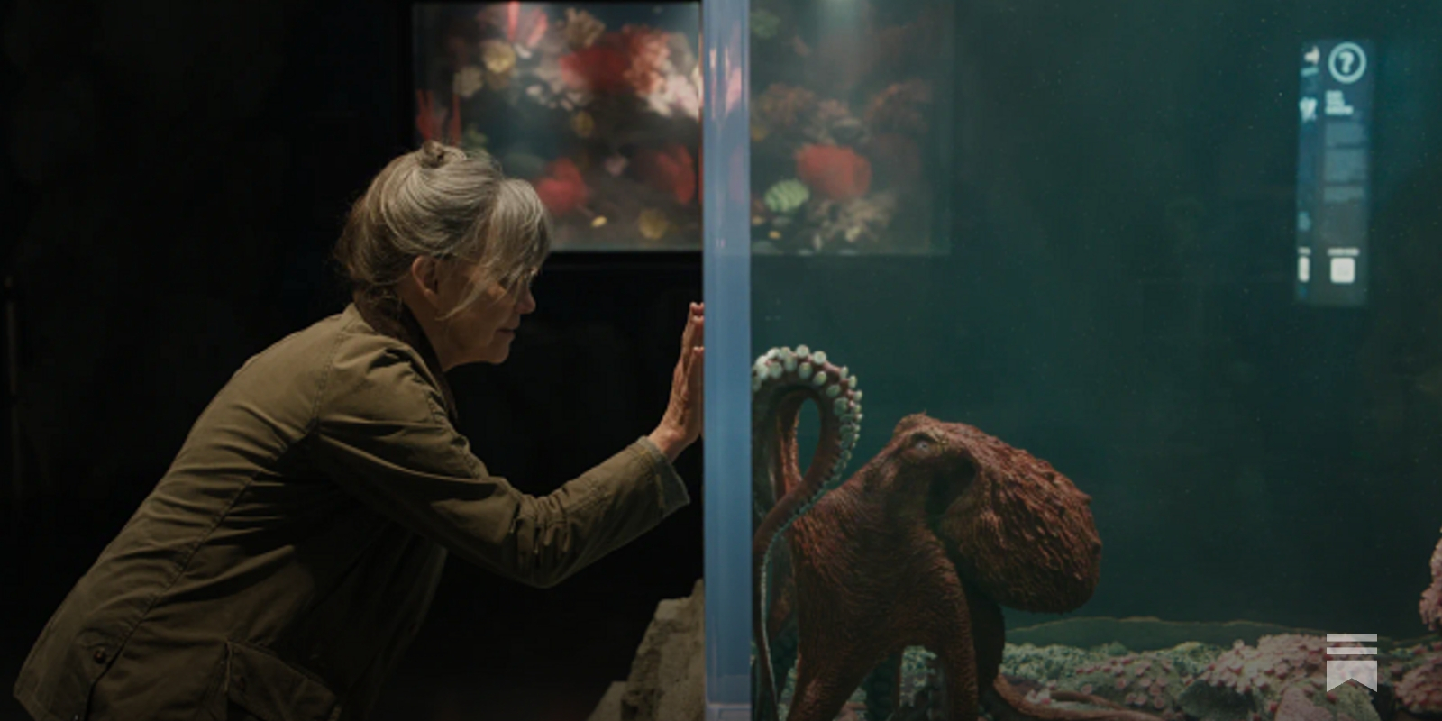 Remarkably Bright Creatures' is a new Netflix favorite