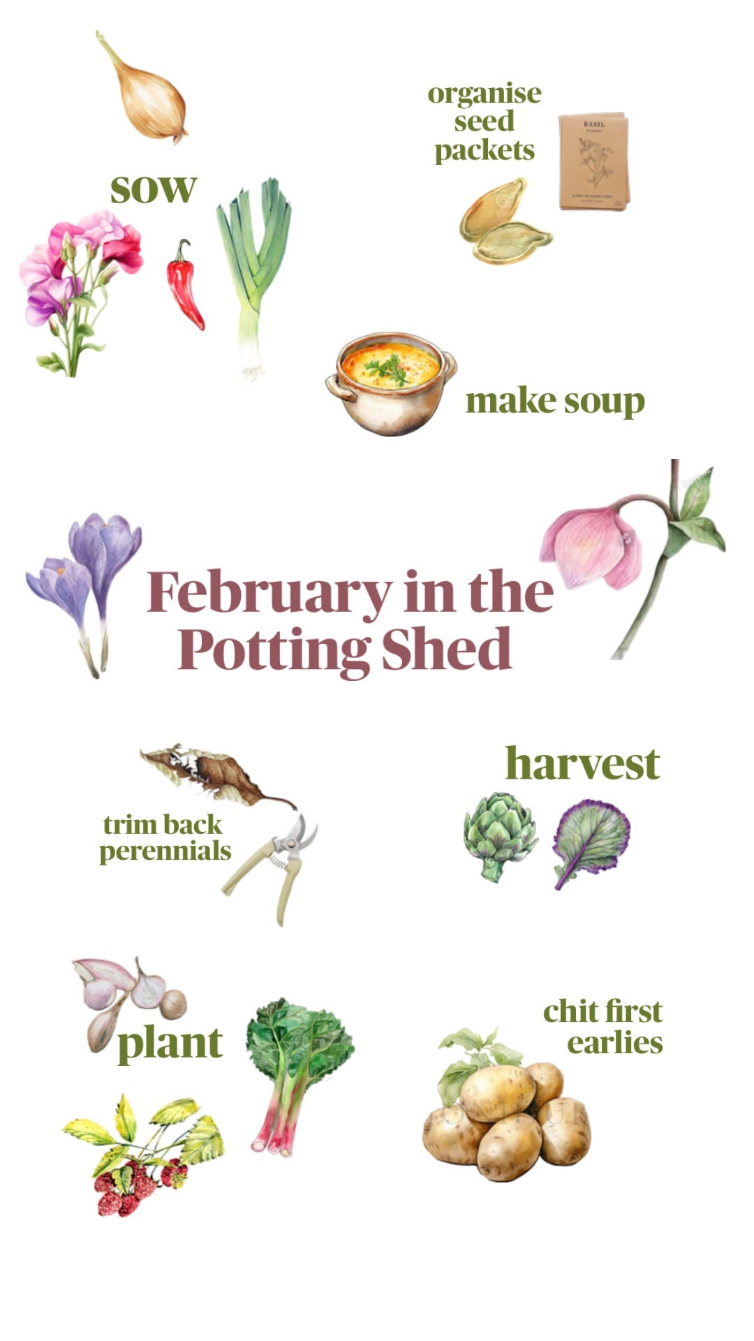 pictures of what to do in the garden and potting shed in february 