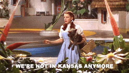 Toto Were Not In Kansas Anymore GIFs | Tenor