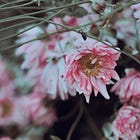 Your Body Is Not the Problem… Weight Stigma Is