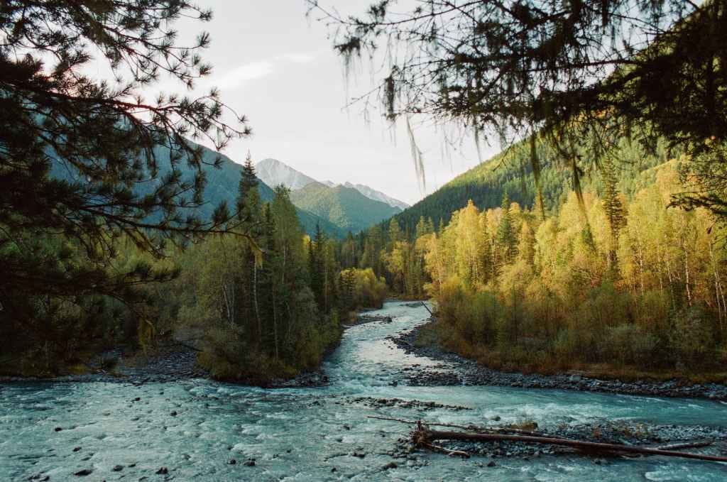 Embracing Transitions: Why I Had to Start Listening to My Inner Voice