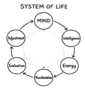 A diagram of a system of life

AI-generated content may be incorrect.