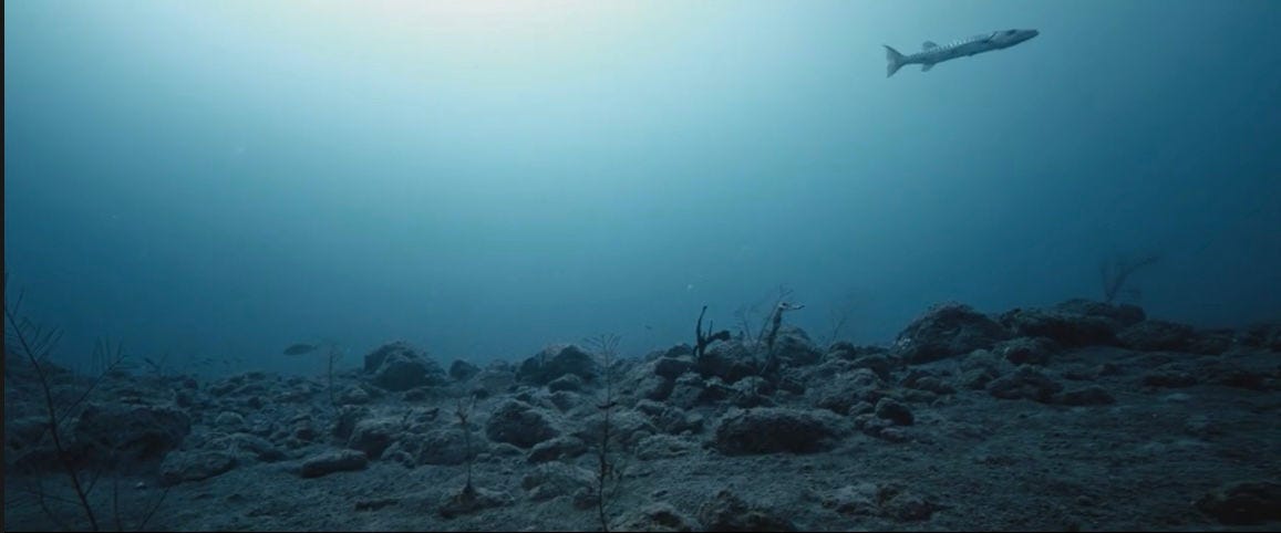 Photo credit (b):  The Ocean’s Breath (2019), Montserrat. Dive Site: Plymouth, an eerie and desolate terrain created by The Soufrière Hills volcano 