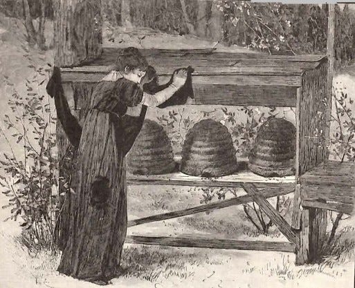Buzz About Bees | HideaHeart's Blog