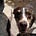 My Mission from Dog's avatar