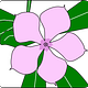 Plant en Zo