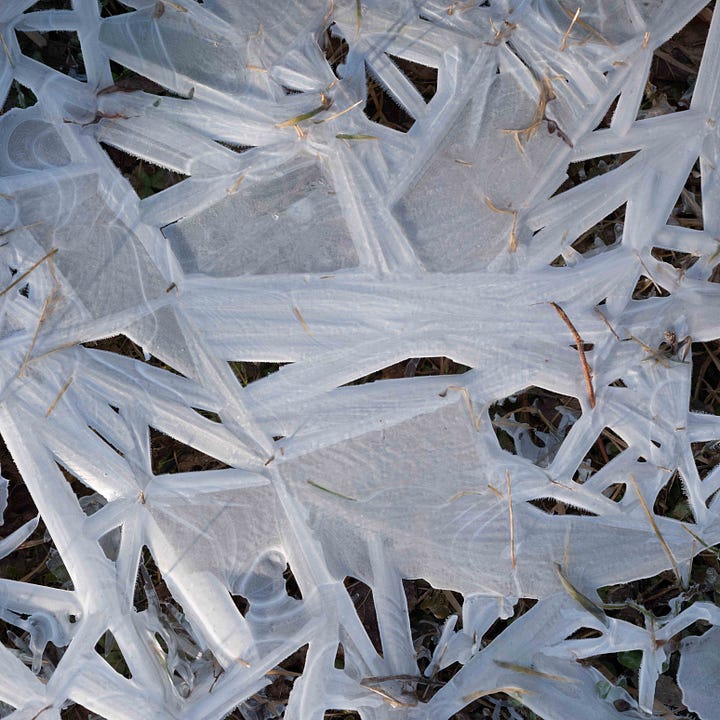 Diptych, leaves and water frozen in geometric shapes