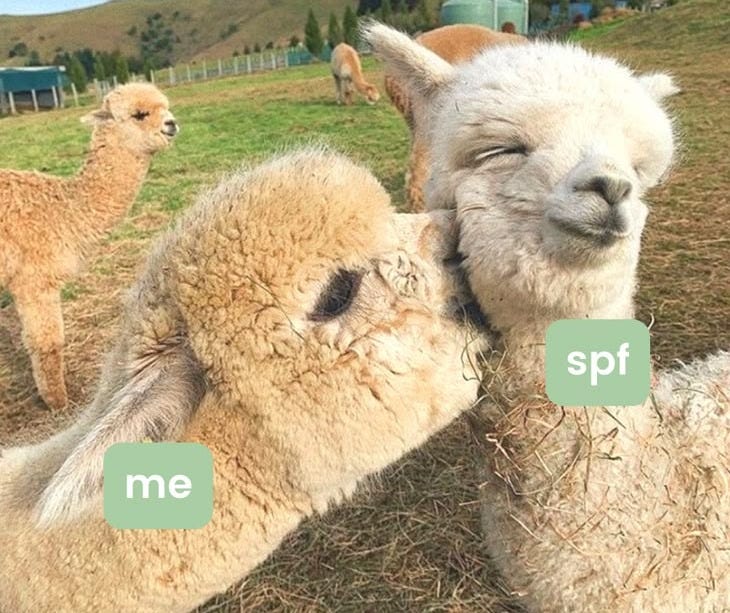 spf meme skincare